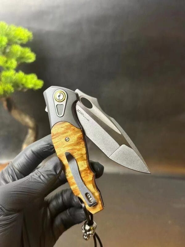 HikingElements M390 Blade Folding Knife with Ball Bearing, Titanium Clip, and Wood Handle